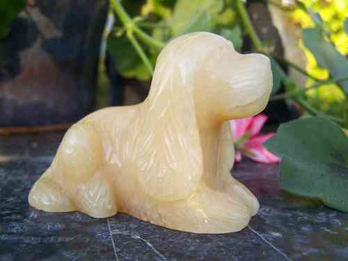 Oranje Calciet sculptuur hond 'Spaniel' 01
