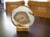 Agaatschijf (passend voor houten theelicht houder) 16